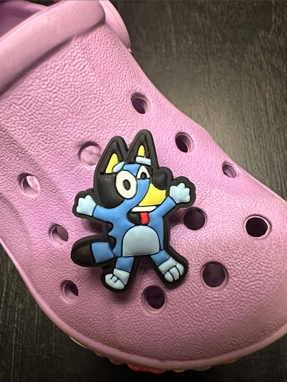 JIBBITZ. Cute Bluey Design